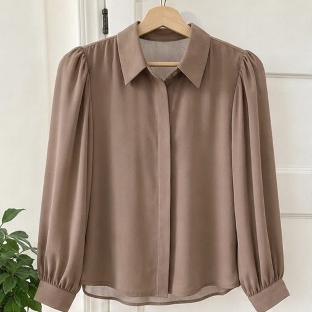 Taupe Tunic Blouse